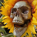 Skull Sunflower Halloween Garden Stakes