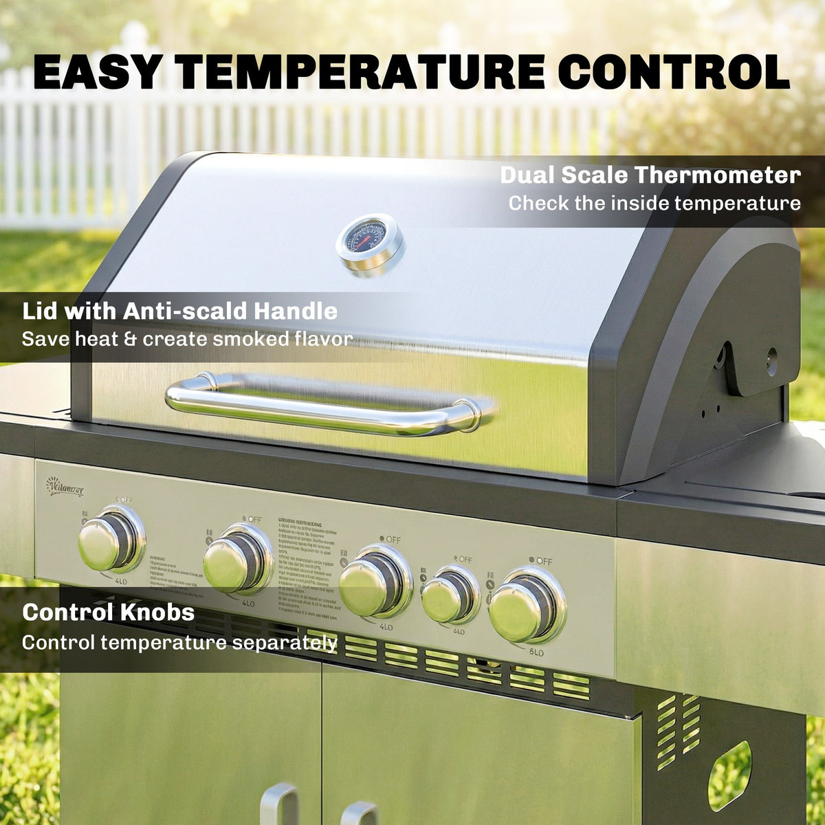 4+1 Portable Gas BBQ Grill with Side Burner