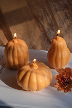 Handmade Pumpkin Soy Wax Candles