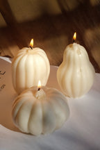 Handmade Pumpkin Soy Wax Candles